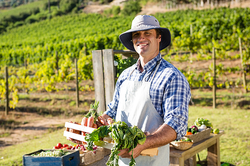 Portrait of happy farmer holding a crate of fresh vegetables in vineyard