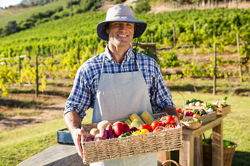 Portrait of happy farmer holding a basket of fresh vegetables in vineyard