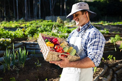 Happy man holding a basket of fresh vegetables in farm