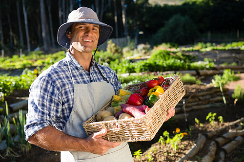 Portrait of happy man holding a basket of fresh vegetables in farm