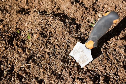 Trowel in soil on a sunny day