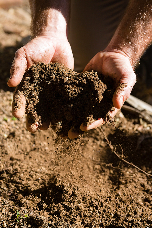 Man holding soil in garden on a sunny day