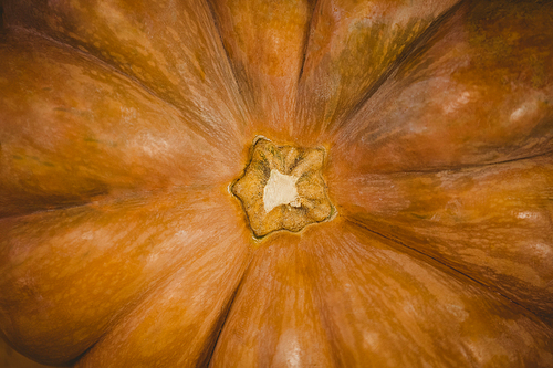 Overhead close up of pumpkin