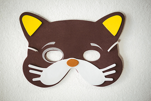 Overhead view of cat mask over white background