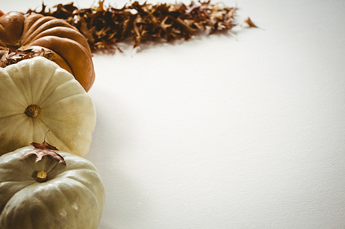 Pumpkins arranged by autumn leaves on white background