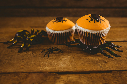 Close up of cup cakes with artificial spider on wooden table
