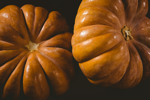close up of pumpkins during