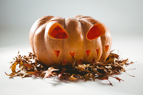 jack o lantern on  leaves over white background