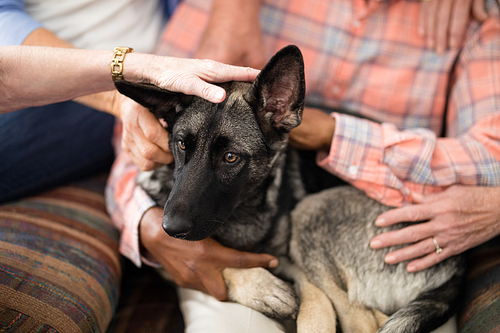 Close-up of dog resting with senior people and practitioner on sofa at nursing home