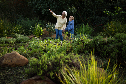 Grandmother pointing at distance while granddaughter standing beside her in garden