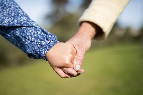 Close-up of granddaughter and grandmother holding hands in garden