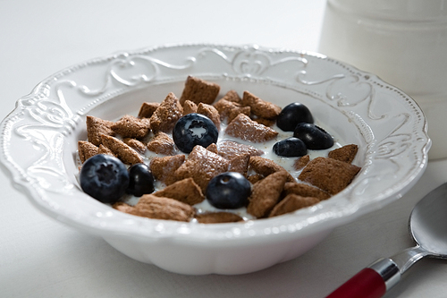 Close-up of breakfast cereal in bowl