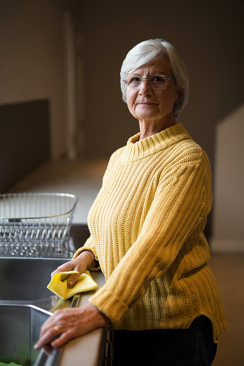 Portrait of smiling senior woman standing near kitchen worktop