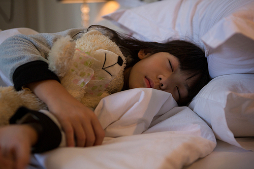Innocent girl with toy sleeping in bedroom at home