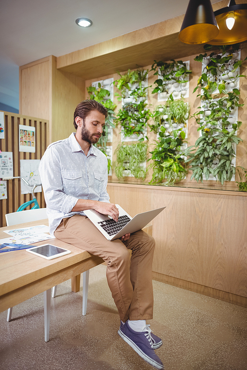 Male business executive sitting on desk and using laptop in office