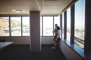 Executives using laptop near the window in office