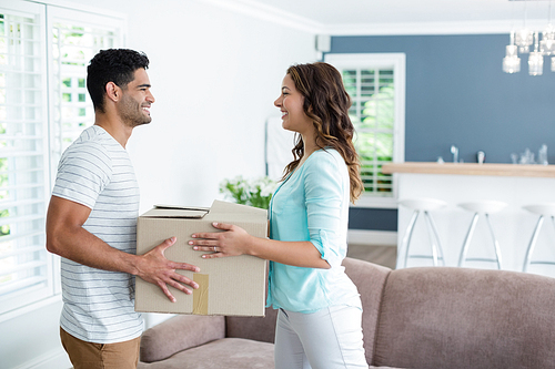 Couple holding card boxes in living room at home