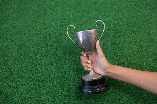 Close-up of hand holding a trophy on artificial grass