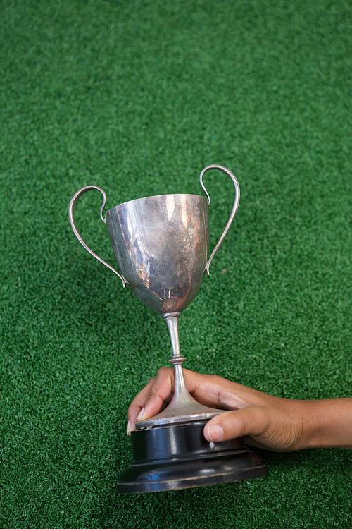 Close-up of hand holding a trophy on artificial grass