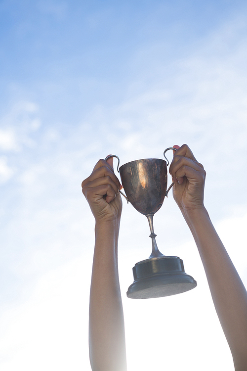 Close-up of hand holding a trophy against sky and cloud