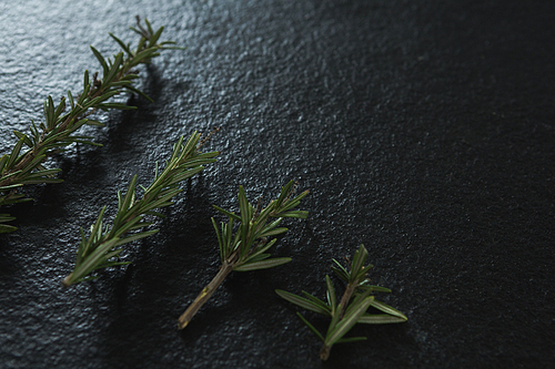 Close-up of rosemary herb on black background