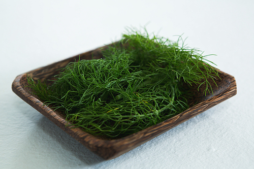 Dill herb in wooden tray on white background