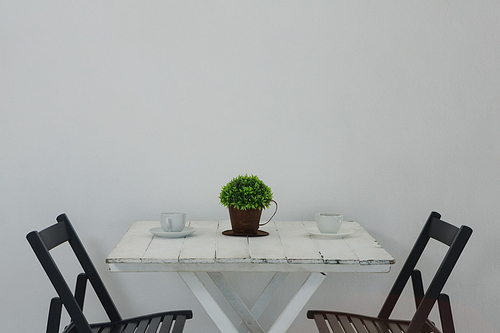 Coffee cup and pot plant on table against wall