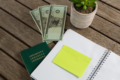 Close-up of currency note, pot plant, diary and passport on wooden plank