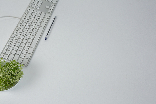 Overhead of keyboard, pen and pot plant on white background