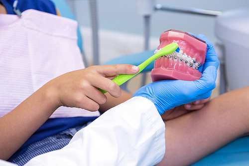 Cropped image of dentist teaching boy brushing teeth of dentures at medical clinic