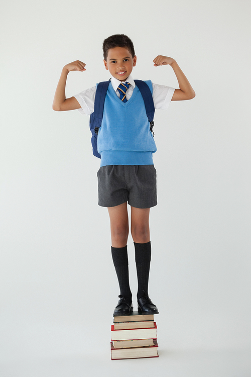 Portrait of schoolboy standing on books stack against white background