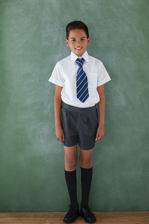 Portrait of schoolboy standing in front of chalkboard in classroom at school