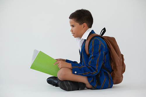 Attentive schoolboy holding book against white background