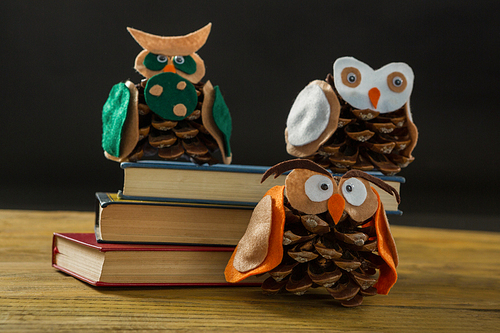 Close up of owls made with pine cones on books at table against black background