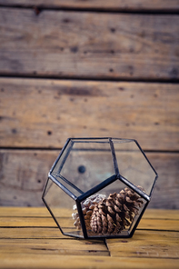 Close-up of pine cone in glass container