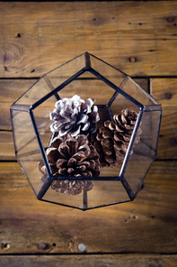 Close-up of pine cone in glass container