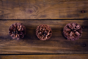 Overhead view of pine cones on wooden plank