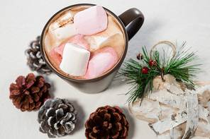 Close-up of chocolate drink and pines cones on white background