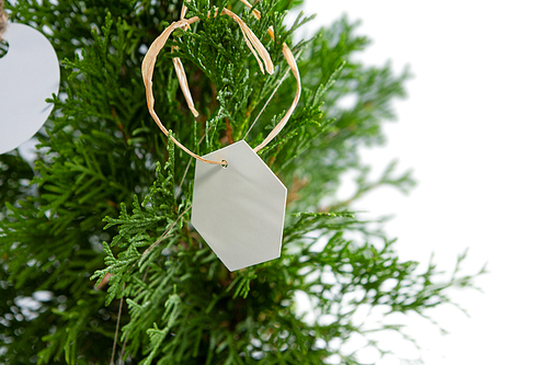 Close-up of tag hanging on christmas tree