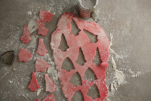 Overhead  of Cookie dough with flour shaker strainer and cutter