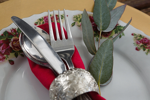 Close-up of cutlery with napkin and leaf in a plate