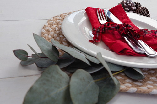 Close-up of pine cone with leaf and fork, butter knife, napkin in a plate