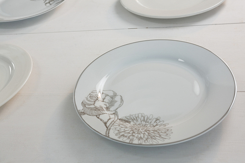 Modern empty plates on white background