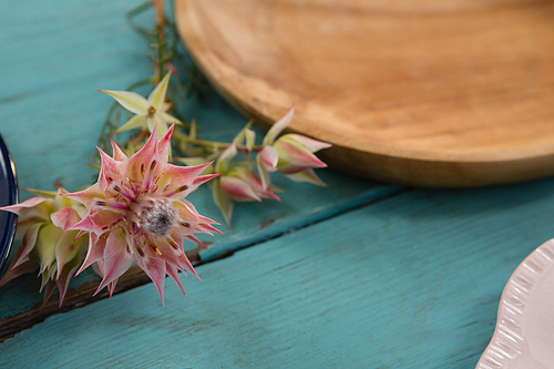 Close-up of flower with wooden plates