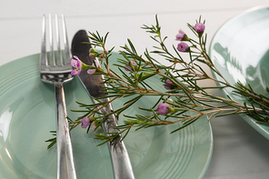 Close-up of flora decoration on table setting