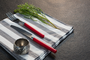 Close-up of napkin ring, flora and cutlery on folded napkin