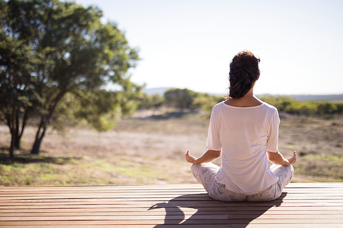 Woman practicing yoga on wooden plank on a sunny day