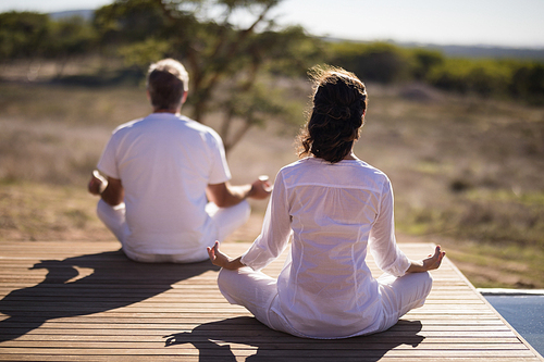 Rear view of couple practicing yoga on wooden plank on a sunny day