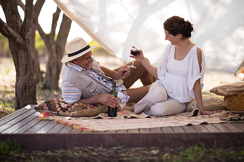 Happy couple toasting wine in cottage during safari vacation