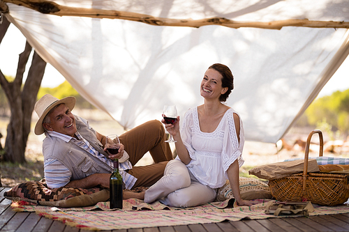 Portrait of happy couple having wine in cottage during safari vacation